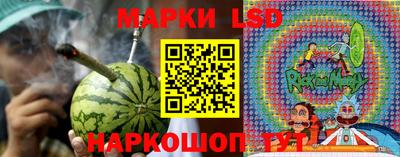 винт Будённовск