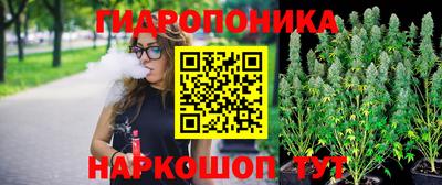 винт Будённовск