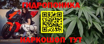 винт Будённовск