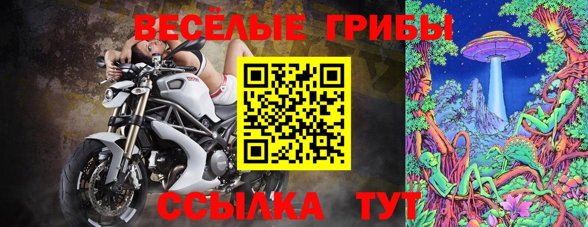закладки  Псилоцибиновые грибы GOLDEN TEACHER  Вход с VPN  Кулебаки 